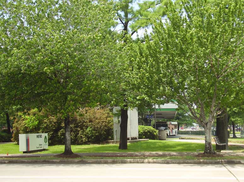 Bellaire METRO station in Bellaire Texas